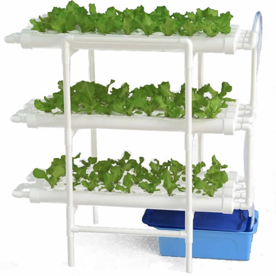 Home Hydroponic Kit - 36 Cup System: image 12