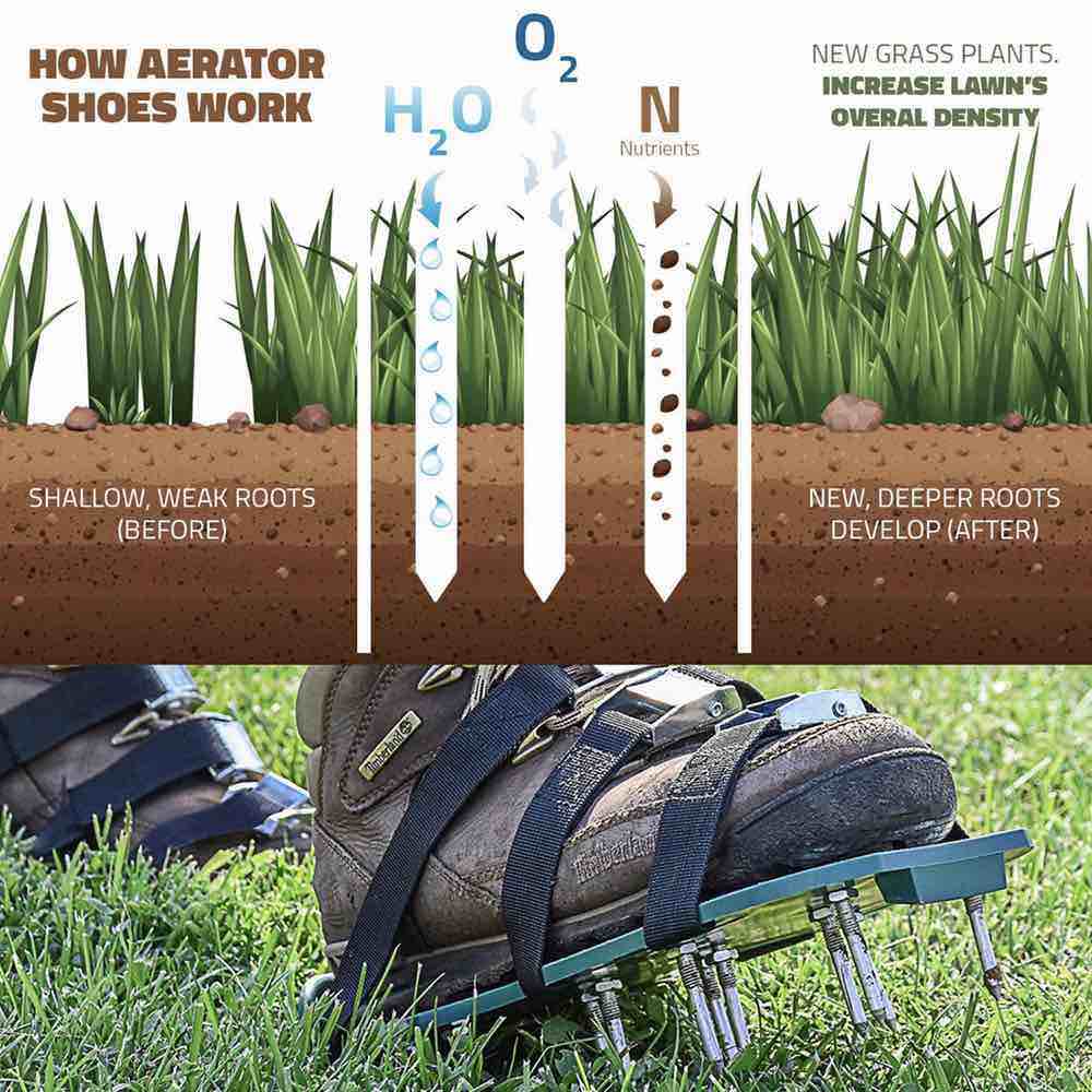 Aerator Grass Shoes: image 5