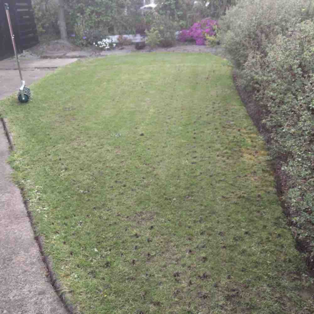 Rolling Aerator: image 8