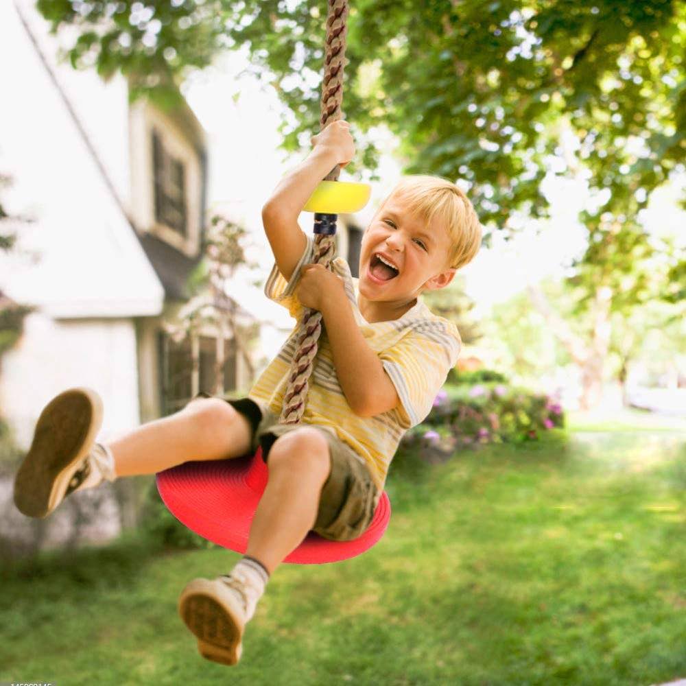 Single Disc Seat & Climbing Rope
