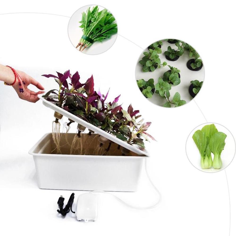 Deep Water Culture Kit