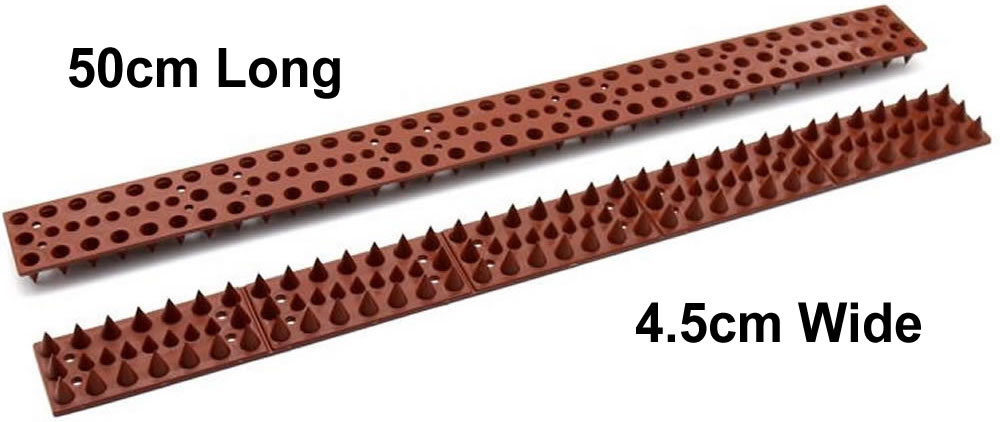 Fence Spikes: image 3
