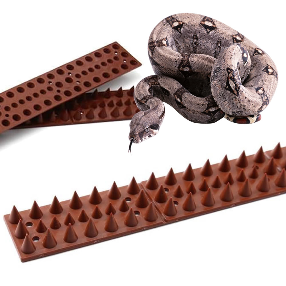Snake Spikes