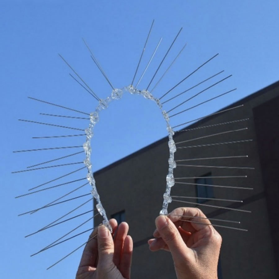 Bird Pigeon Spikes: image 2