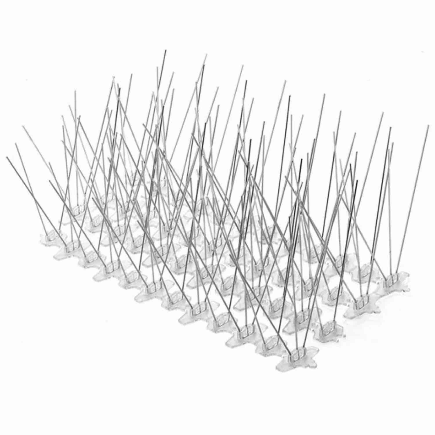 Bird Pigeon Spikes: image 3