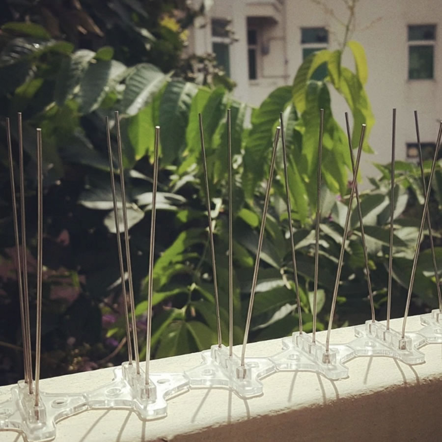 Bird Pigeon Spikes: image 5