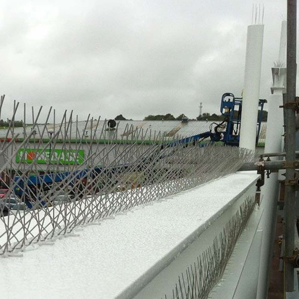 Bird Pigeon Spikes: image 7