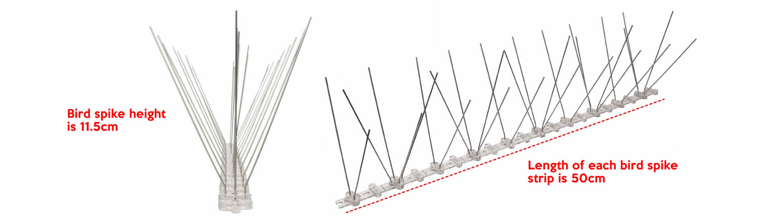 Bird Pigeon Spikes: image 9