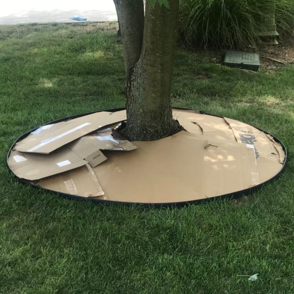 Plastic Lawn Edging: image 13