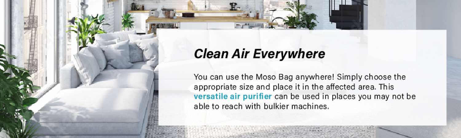 Air Purifying Bag - Single Bag (x1): image 11