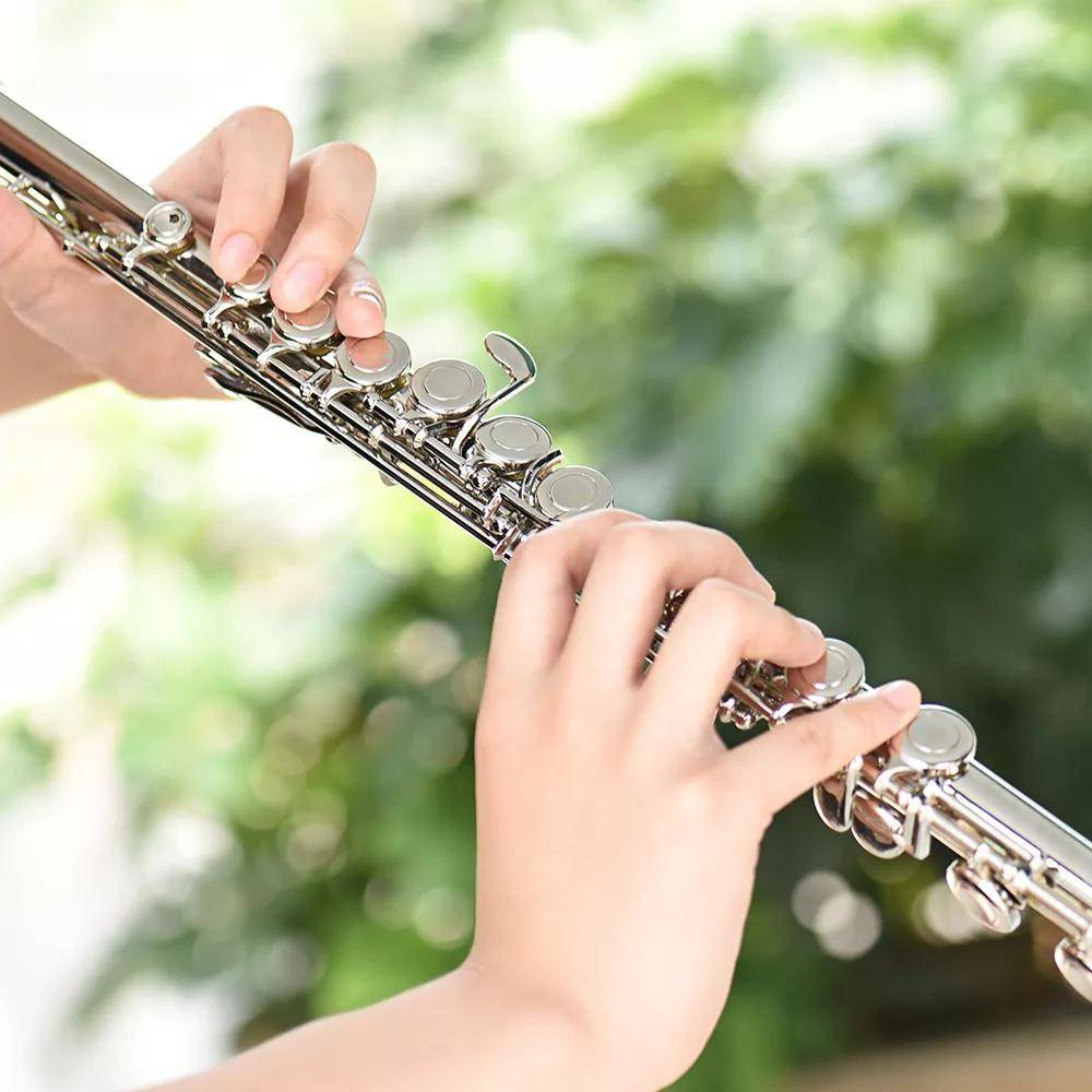 Instrument Flute: image 1