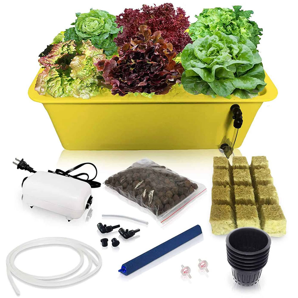 where to buy deep water culture hydroponic system online