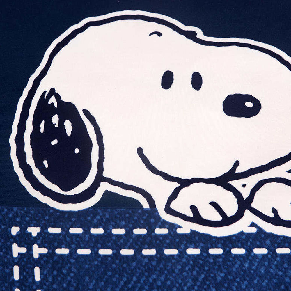 buy snoopy bedding twin
